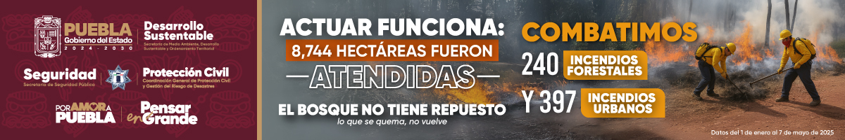 Banner superior