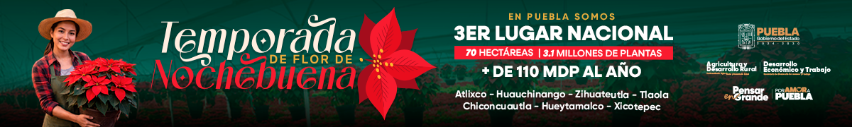 PAGO PREDIAL ANTICIPADO